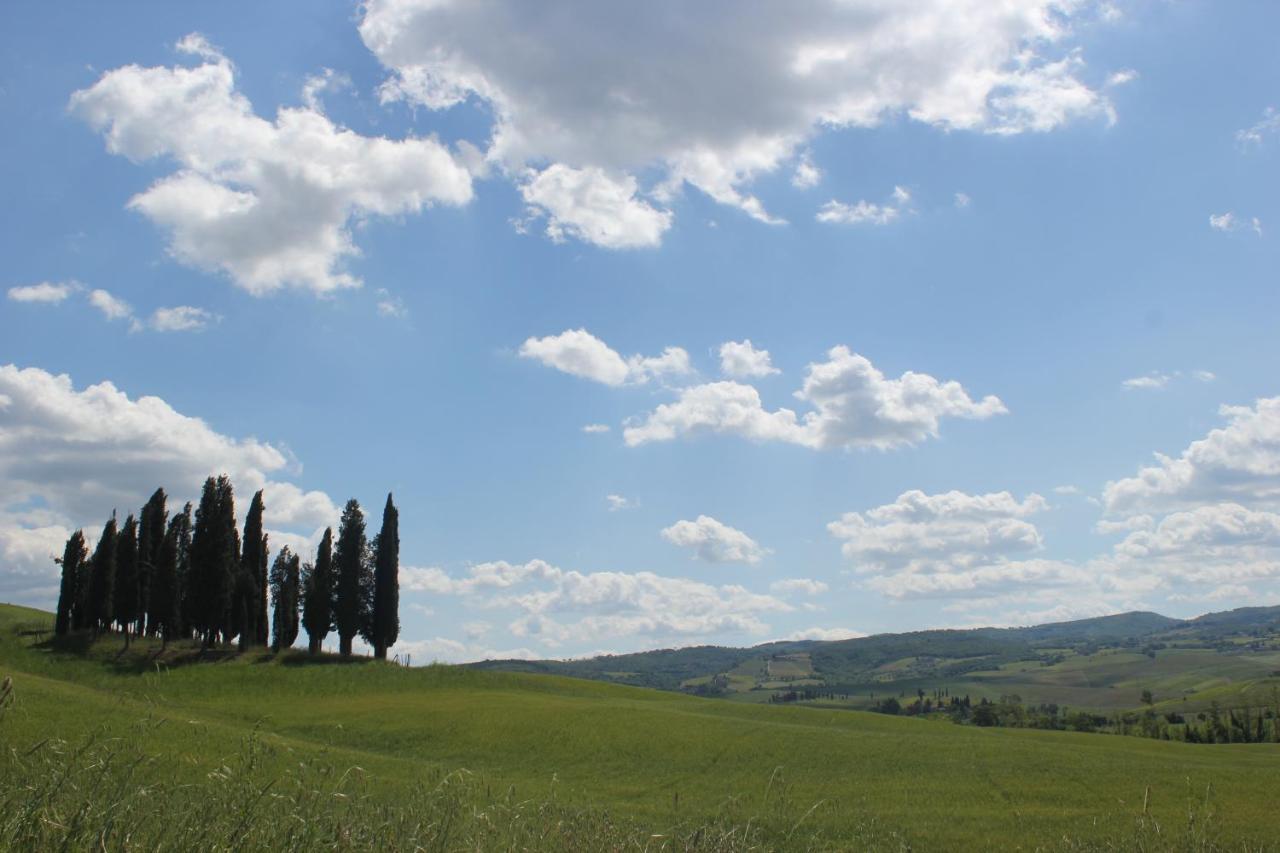 فيلا La Casina Di Nonna Lola Castiglione dʼOrcia المظهر الخارجي الصورة
